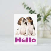 Hallo Beagle Puppy Dog Greeting Post Kaart (Staand voorkant)