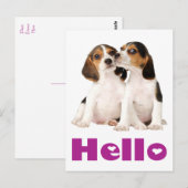 Hallo Beagle Puppy Dog Greeting Post Kaart (Voorkant / Achterkant)