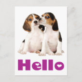 Hallo Beagle Puppy Dog Greeting Post Kaart (Voorkant)