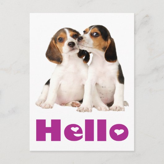 Hallo Beagle Puppy Dog Greeting Post Kaart (Voorkant)