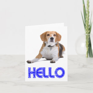 Hallo Beagle Puppy Hond Blanke Kaart