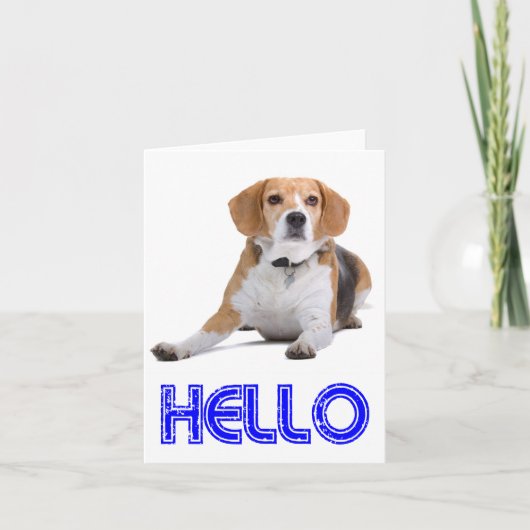 Hallo Beagle Puppy Hond Blanke Kaart (Voorkant)