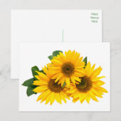 Hallo Bedankt Bloemen Zonnebloemen Gele Bloemen Briefkaart (Voorkant / Achterkant)