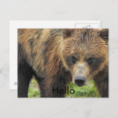 hallo beer briefkaart (Voorkant / Achterkant)