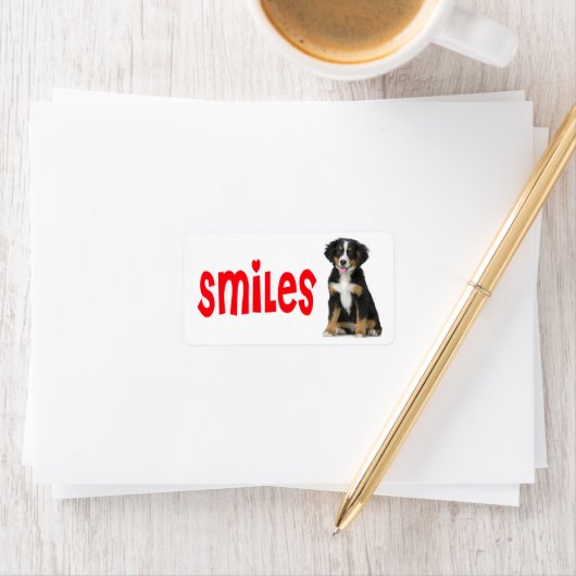 Hallo Berner Berg Puppy Mam Hond Redding Papa Etiket (Insitu)