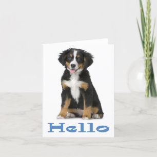 Hallo Bernese Mountain Dog Puppy Dog Note Card Kaart
