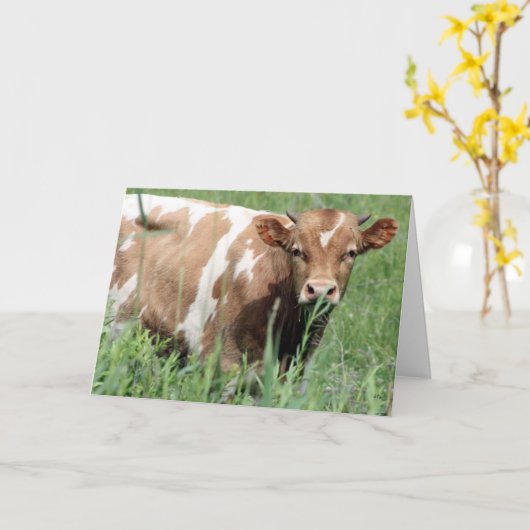 Hallo Betsy, Kaart (Gele Bloem)