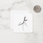 Hallo! bidsprinkhaan notitiekaartje (Voorkant / Achterkant in situ)