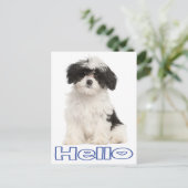 hallo Black and White Havanese Puppy Dog Briefkaar Briefkaart (Staand voorkant)