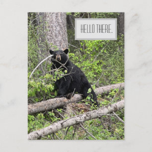 hallo Black Beer Briefkaart