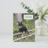 hallo Black Beer Briefkaart (Staand voorkant)