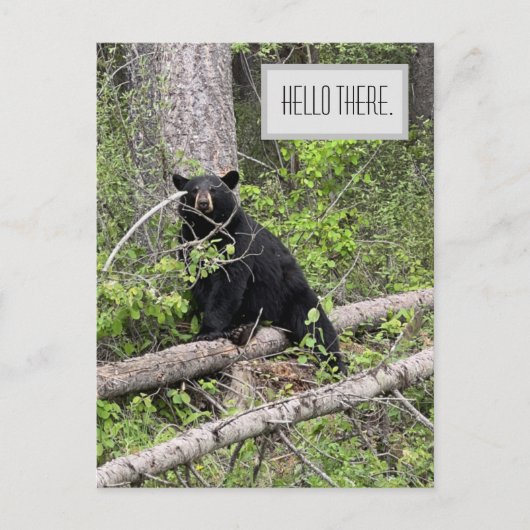 hallo Black Beer Briefkaart (Voorkant)