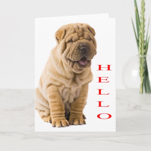 Hallo blanco doekje van Shar Pei Kaart (Voorkant)