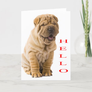 Hallo blanco doekje van Shar Pei Kaart