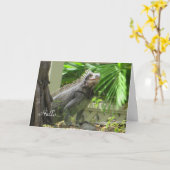 Hallo blanco kaart (Gele Bloem)