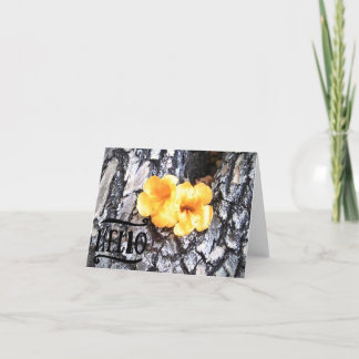 Hallo Blank Wenskaart met Gele Allamanda Bedankkaart