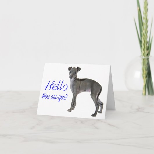 Hallo Blauw grijs Italiaans Greyhound Puppy Dog Kaart (Voorkant)
