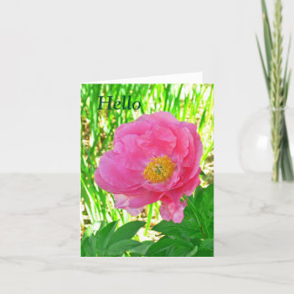 hallo "BLOEM"/ROZE PIOENTJE/NOTECARD /LEGE BINNENK Kaart