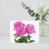 Hallo Bloemroze pioenroos bloem - Dank u, Briefkaart (Staand voorkant)