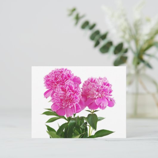 Hallo Bloemroze pioenroos bloem - Dank u, Briefkaart (Staand voorkant)