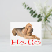 hallo Bloodhound Puppy Dog Greeting Post Card Briefkaart (Staand voorkant)