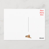 hallo Bloodhound Puppy Dog Greeting Post Card Briefkaart (Achterkant)