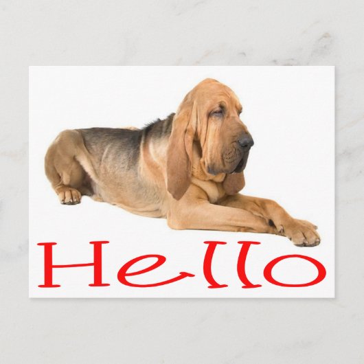 hallo Bloodhound Puppy Dog Greeting Post Card Briefkaart (Voorkant)