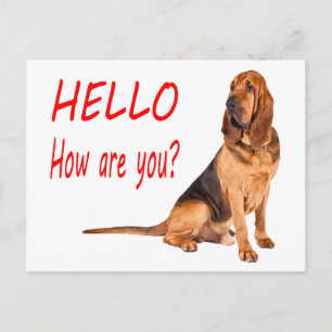 Hallo Bloodhound Puppy Hond Blank Welkomstkaart Briefkaart