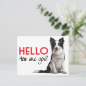 hallo Border Collie Puppy Dog Post Card Briefkaart (Staand voorkant)
