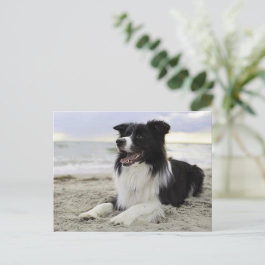 Hallo Border Collie Puppy Dog - Vermist, Briefkaart (Staand voorkant)