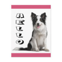 Hallo Border Collie Puppy Hond Ansichtkaart