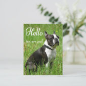 hallo Boston Terrier Puppy Dog Denking of You Briefkaart (Staand voorkant)