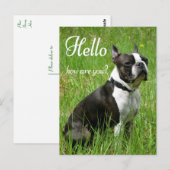 hallo Boston Terrier Puppy Dog Denking of You Briefkaart (Voorkant / Achterkant)