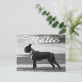 hallo Boston Terrier Puppy Dog Greeting Post Card Briefkaart (Staand voorkant)