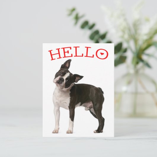 hallo Boston Terrier Puppy Dog Red Thinking of You Briefkaart (Staand voorkant)