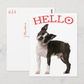 hallo Boston Terrier Puppy Dog Red Thinking of You Briefkaart (Voorkant / Achterkant)