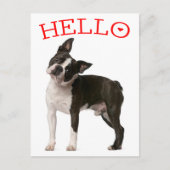hallo Boston Terrier Puppy Dog Red Thinking of You Briefkaart (Voorkant)