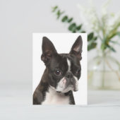 Hallo Boston Terrier puppy hond denkt aan jou Briefkaart (Staand voorkant)