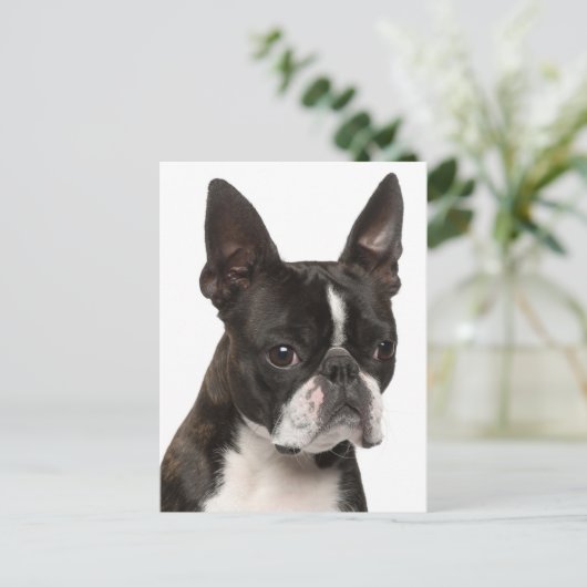 Hallo Boston Terrier puppy hond denkt aan jou Briefkaart (Staand voorkant)