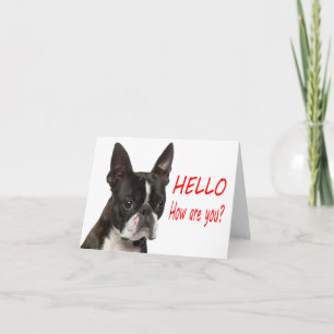Hallo Boston Terrier Puppy Hond Notitiekaart