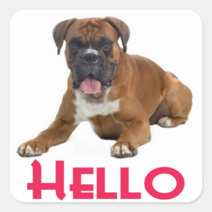 Hallo Boxer Puppy Hondengroet Sticker