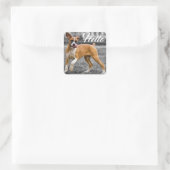 Hallo Boxer Puppy Hondengroet Vierkante Sticker (Tas)