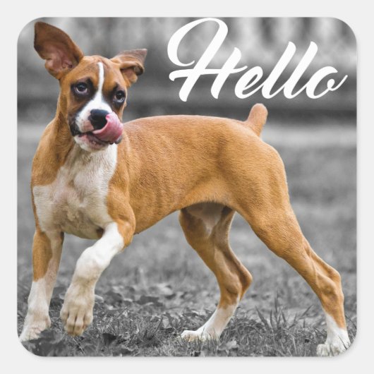 Hallo Boxer Puppy Hondengroet Vierkante Sticker (Voorkant)