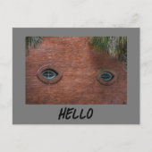 Hallo Brick Wandvenster Ogen Leuk Fotografisch Briefkaart (Voorkant)