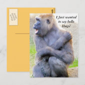 hallo briefkaart (Voorkant / Achterkant)