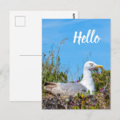 Hallo Briefkaart (Voorkant / Achterkant)