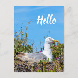 Hallo Briefkaart