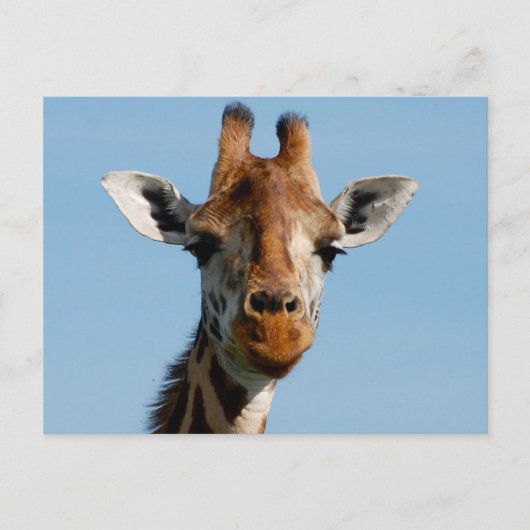 hallo briefkaart (Voorkant)