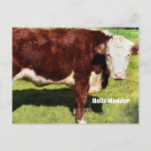 Hallo Briefkaart (Voorkant)