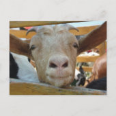 Hallo Briefkaart (Voorkant)